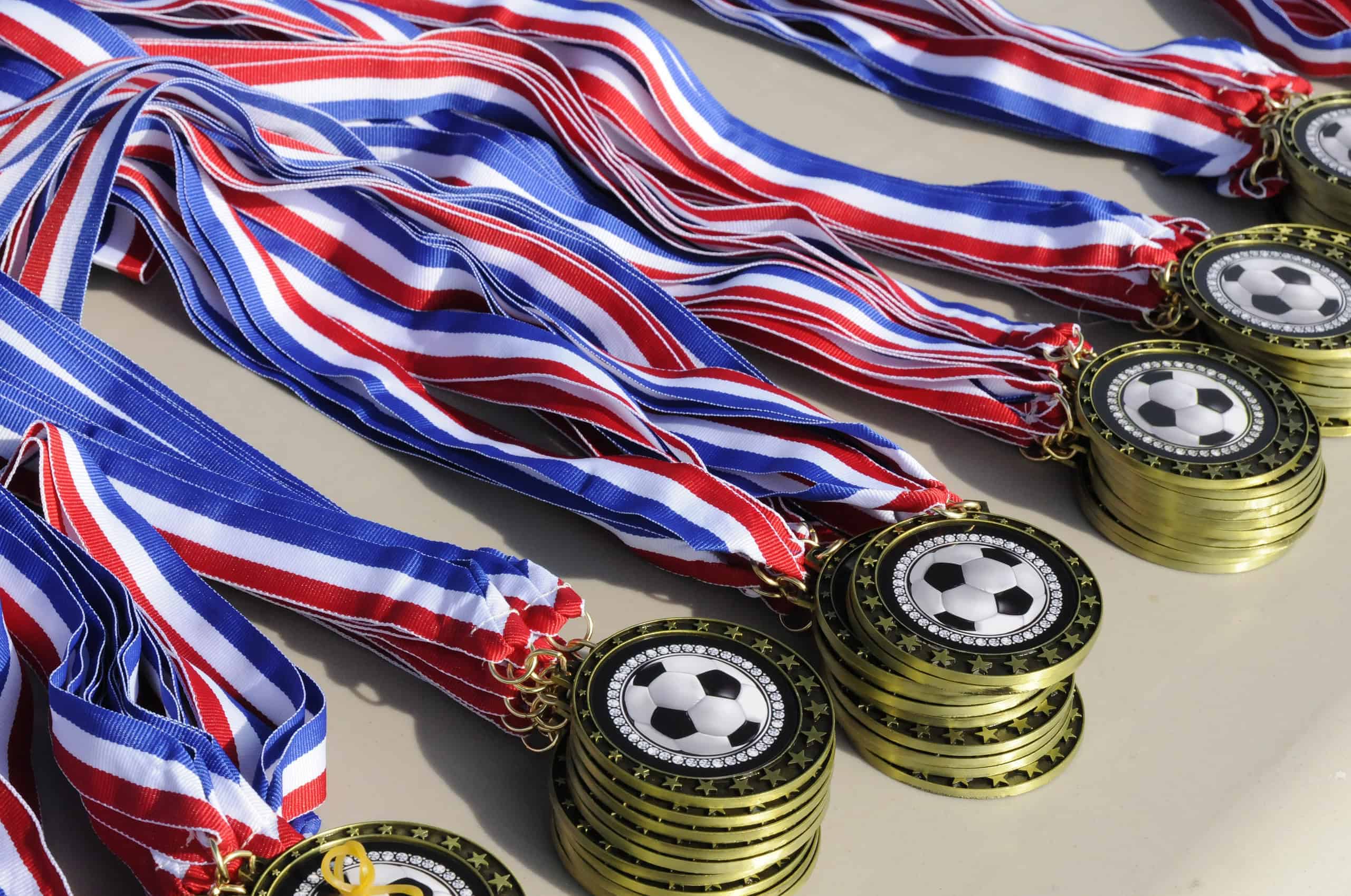 Read more about the article AEL FC CANADA MEDAL PRESENTATION / TEAM PHOTO