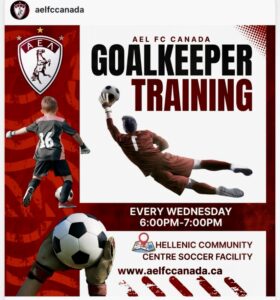 Read more about the article GOALKEEPER TRAINING